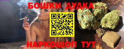 спиды Обь