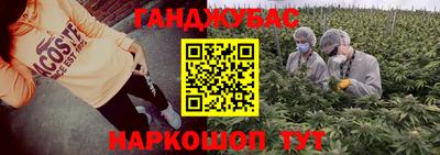 спиды Обь